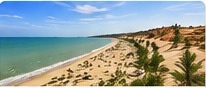Nhà Xe Vũ Quyên Phan Thiết: Kinh Nghiệm Đặt Xe Đi Biển Thuận Tiện
